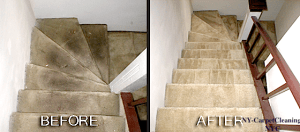 Hallway Carpet Cleaning NYC service