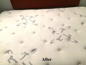 professional mattress cleanig services after
