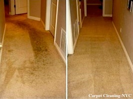 New York Apartment Carpet Cleaning